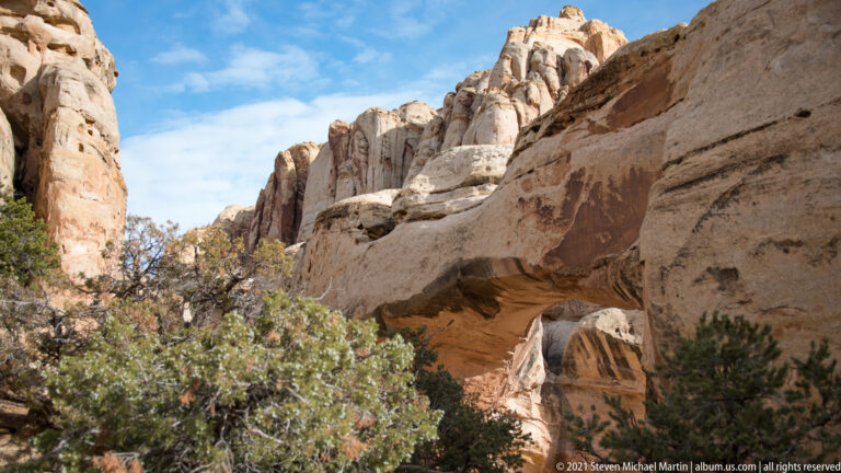 Hickman Bridge crosses between pale cliffs, partly screened by a foreground shrub.