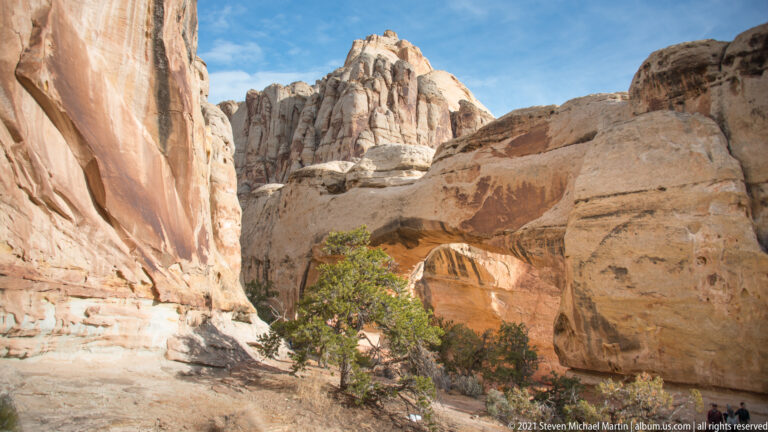 A close canyon wall frames Hickman Bridge spanning an opening beyond shrubs.
