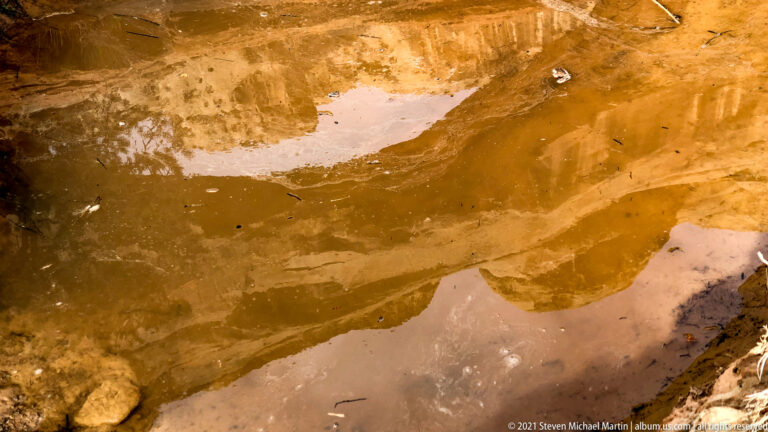 Shallow water reflects an ochre sandstone wall, with small leaves and twigs floating on the surface.