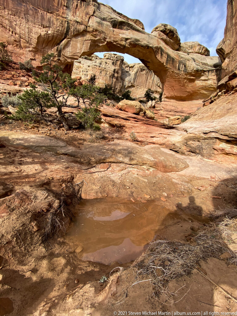 Hickman Bridge spans a rocky wash above a small pool, with junipers along the bank.