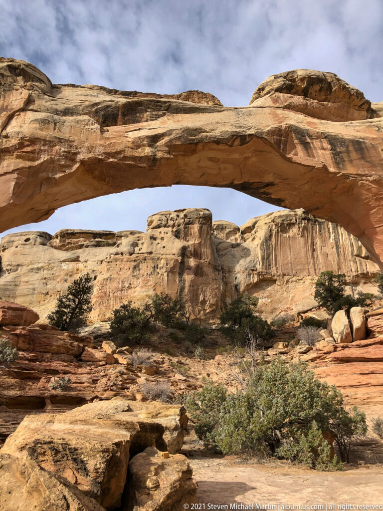 The dark underside of Hickman Bridge frames sky and pale cliffs above shrubs and sandstone ledges.