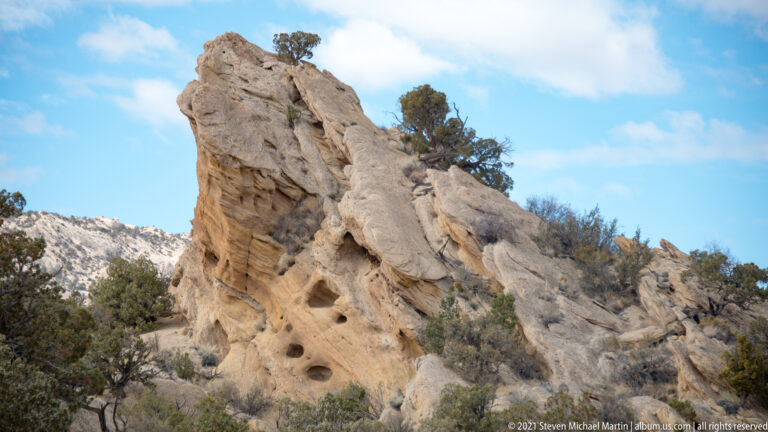 Close pale sandstone fin with rounded pits and hollows, framed by junipers against blue sky.
