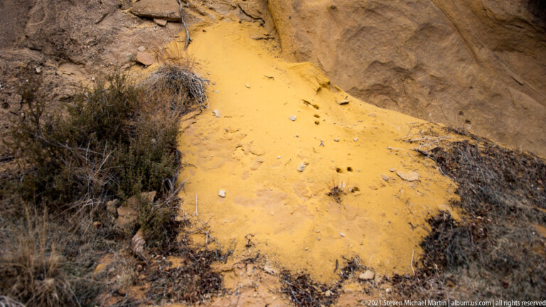 A bright yellow-orange patch covers part of a rocky slope beside shrubs and pale stone.