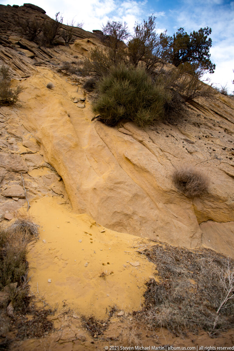 An ochre-colored channel crosses sloping sandstone below a dense shrub, with cracked rock and debris nearby.