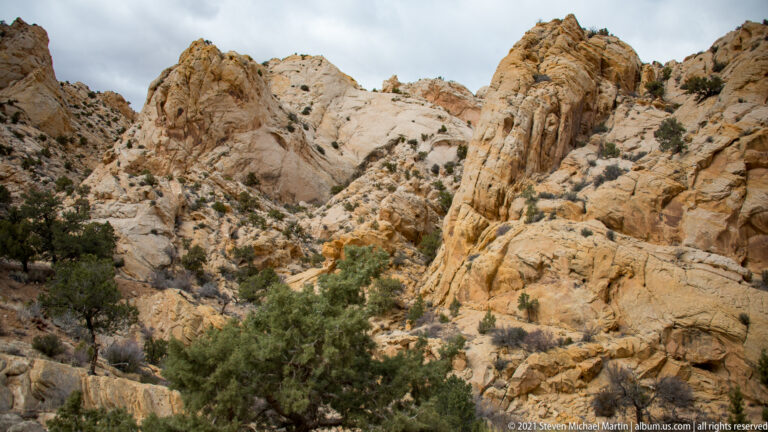 A narrow striated sandstone rib rises among pale broken ledges and juniper.