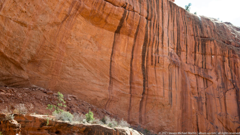 Dark vertical streaks descend across a tall red sandstone wall above a small tree at its base.