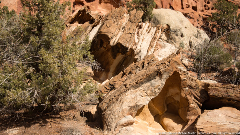Juniper branches partly frame a dark opening in pale sloping sandstone above angular boulders.