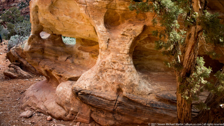A low irregular arch opens through orange layered sandstone beside a juniper tree.