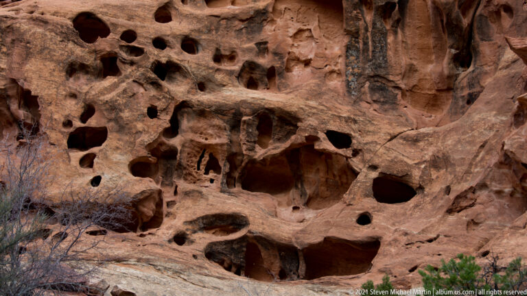 Numerous dark cavities and shallow alcoves puncture a red sandstone wall above sparse shrubs.