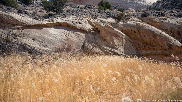 Golden grasses fill the foreground below pale pitted sandstone and scattered junipers.