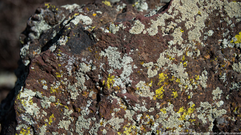 Gray and yellow-green lichen patches cover a close-up of rough, dark reddish volcanic rock.