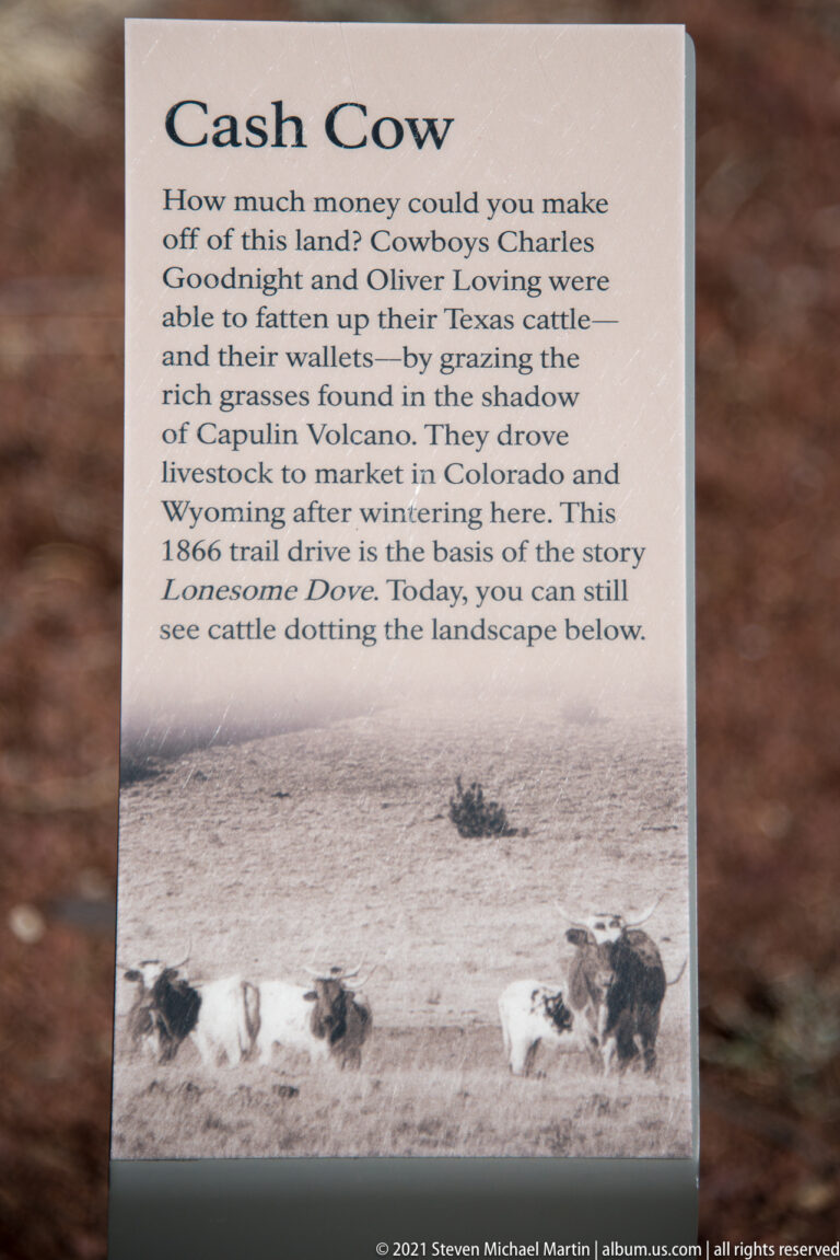 A tan sign titled “Cash Cow” shows cattle and text about historic grazing near Capulin Volcano.