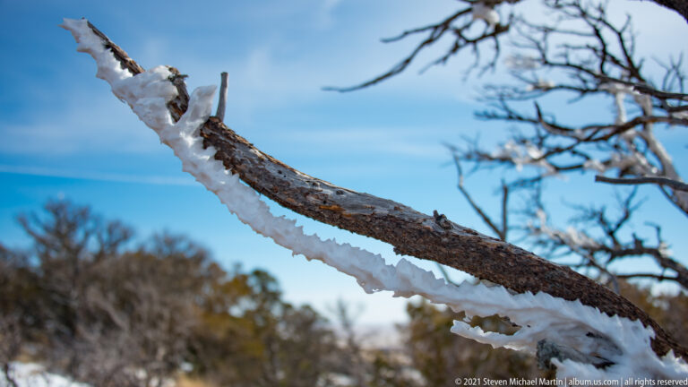 A diagonal branch edged with white ice crosses a blue sky, with leafless twigs blurred behind it.