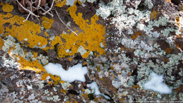 Orange and pale gray-green lichen cover a dark rough rock, with small patches of snow in its crevices.