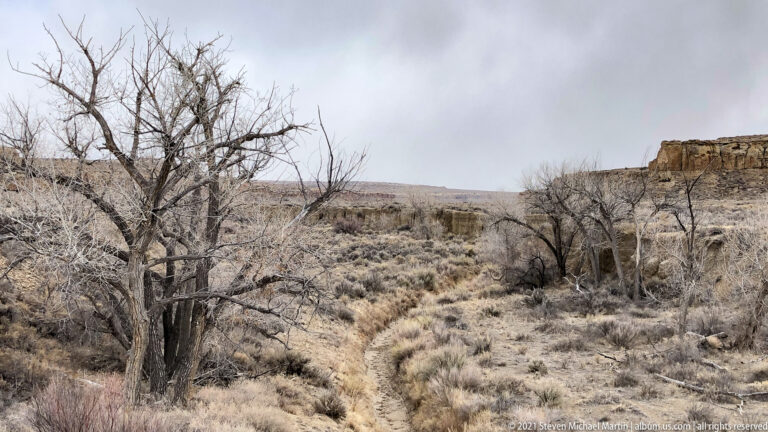 A shallow drainage passes through winter grasses and leafless trees, with a sandstone wall in the distance.