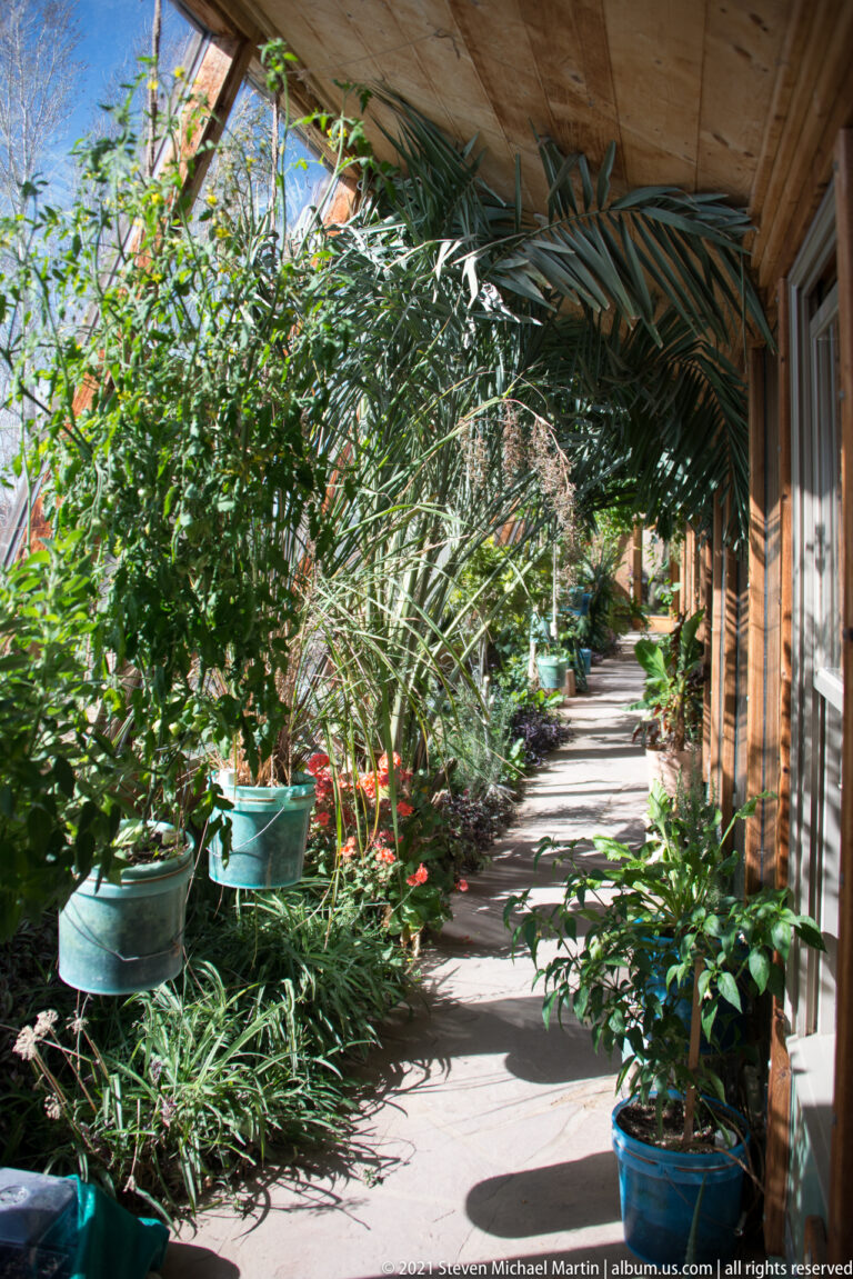 A shaded path recedes beside glazing, bordered by potted palms and hanging plants.