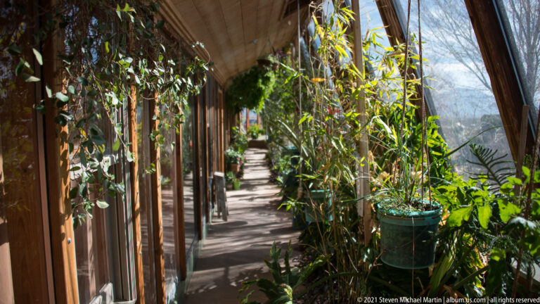 A bright passage lined with potted and hanging plants runs beside tall windows and timber framing.