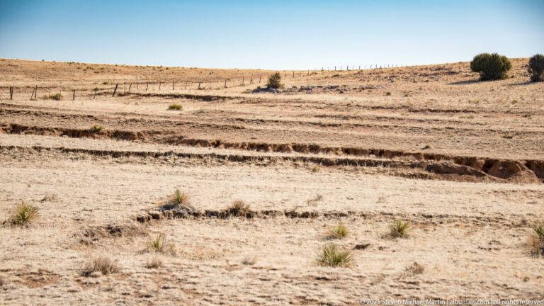 Parallel shallow tracks cross a dry grassland slope below a fence and a lone shrub.
