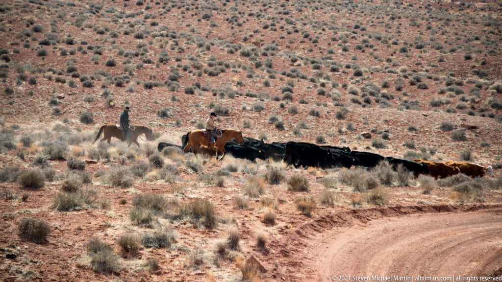 Two horseback riders guide a line of cattle across sparse desert scrub beside a faint dirt track.