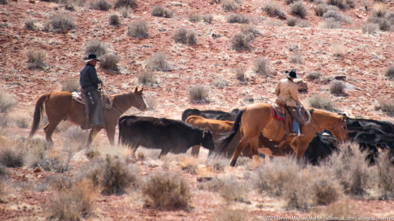 Two horseback riders guide cattle through pale desert brush, with the herd crossing the frame between them.