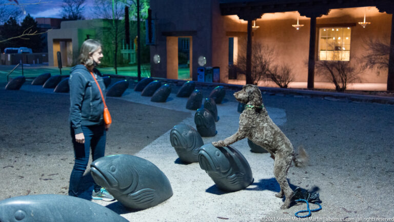 A woman and leashed dog stand among fish sculptures outside a warmly lit building.
