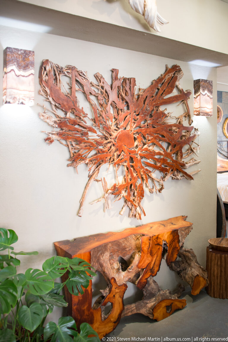 A branching reddish wood sculpture spreads across a white wall above polished wood forms.