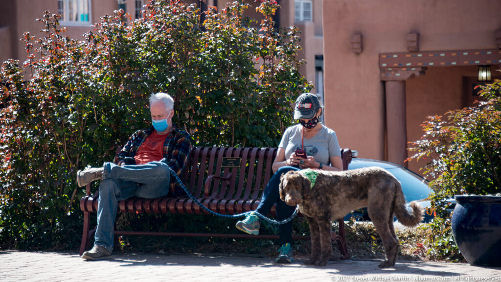 Two masked people sit on a bench beside a large shaggy dog in front of a pink adobe-style wall.