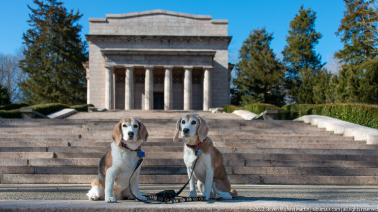 Two dogs sit at the bottom of the memorial steps, facing the camera with leashes between them.