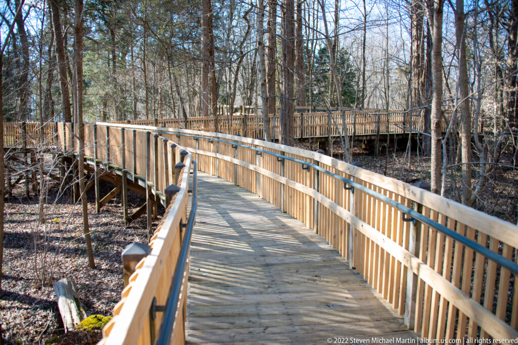 A sunlit wooden boardwalk curves through leafless trees above a brown forest floor.