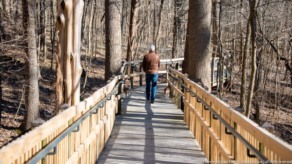A person walks a leashed dog away along a raised wooden boardwalk through bare woodland.