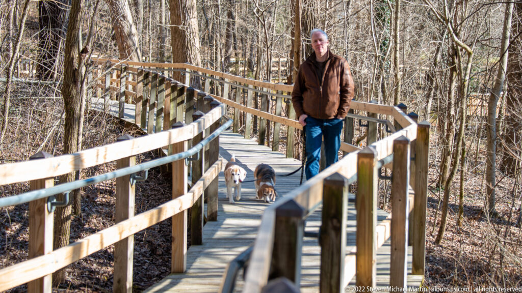 A man walks toward the camera with two leashed dogs on a raised boardwalk through bare trees.