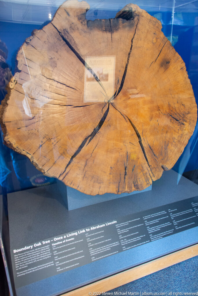 A large cracked tree cross-section is labeled “Boundary Oak Tree” in a museum case.