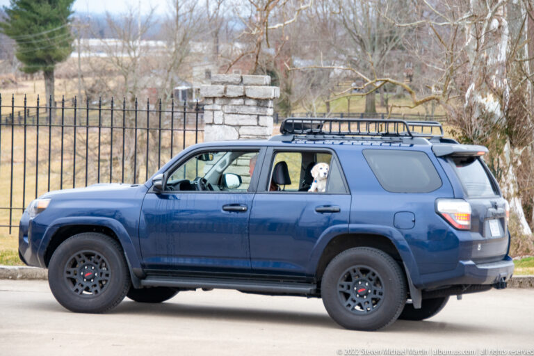 A blue SUV with a roof rack is parked beside an iron fence, with a dog visible through a side window.