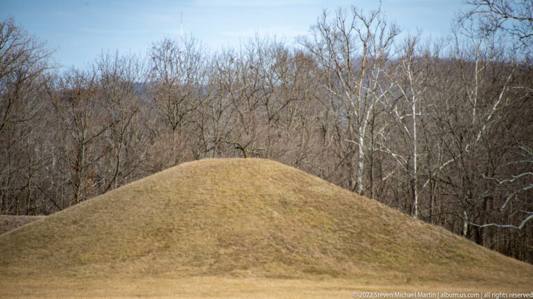 A rounded grassy mound rises in front of leafless trees, filling most of the frame.
