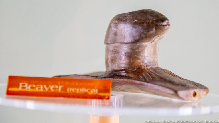 Light brown beaver-shaped pipe replica displayed on a clear stand above its label.