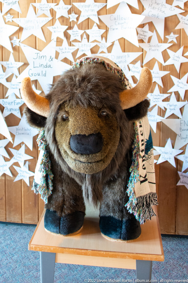 A plush bison wearing a knitted scarf sits before a wall of handwritten paper stars.