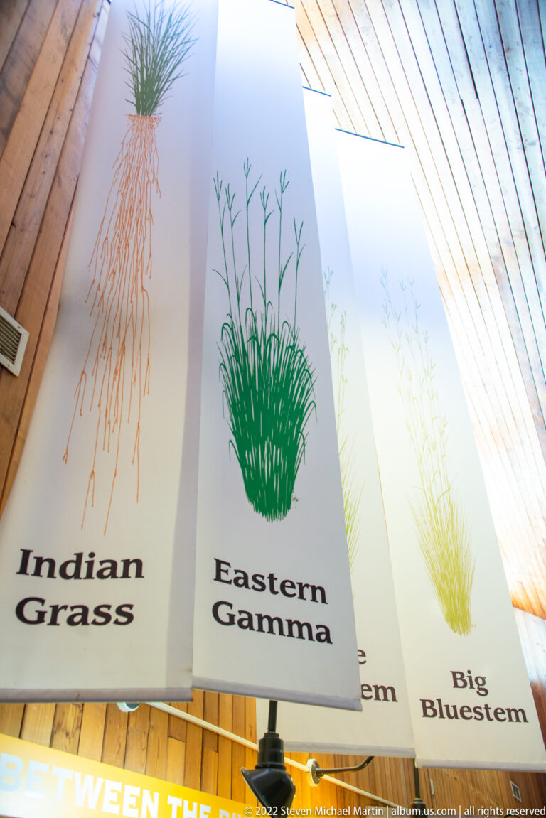Hanging panels show grass illustrations labeled Indian Grass, Eastern Gamma, and Big Bluestem.