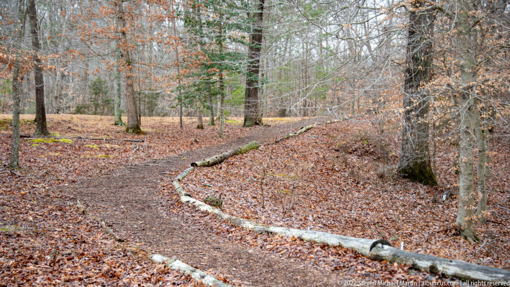 A leaf-covered path curves through bare woods beside a low stone edging.