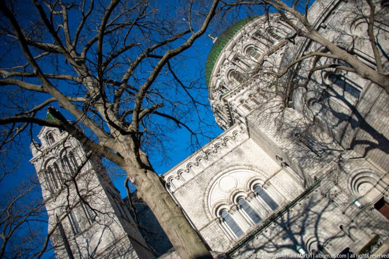A leafless tree crosses a low-angle view of the cathedral’s dome and rounded stone apse.