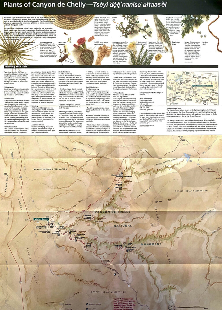 Plants of Canyon de Chelly display shows botanical illustrations, text columns, and a large map.