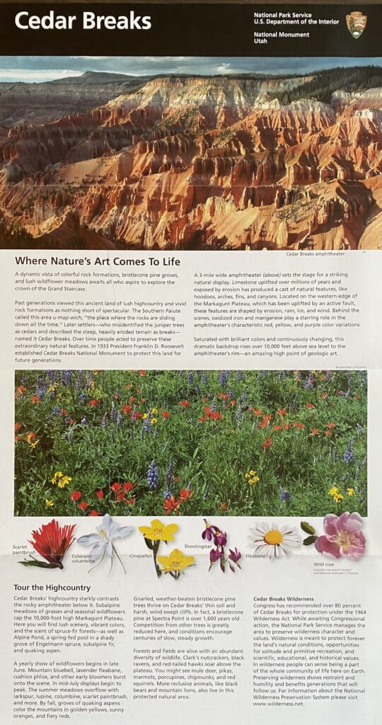 Cedar Breaks brochure page with a broad red-rock amphitheater panorama, a wildflower meadow photograph, and labeled flower illustrations.