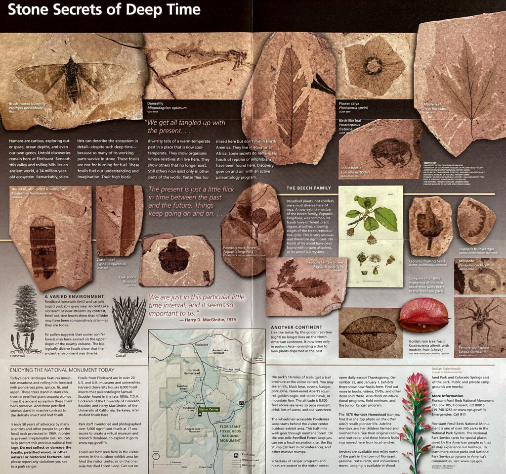 An interpretive panel titled “Stone Secrets of Deep Time” displays fossil impressions, plant illustrations, text, and a map.