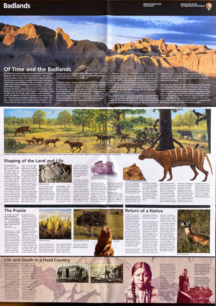 An open Badlands brochure features a panoramic landscape, interpretive text, wildlife illustrations, and sections on geology and prairie.