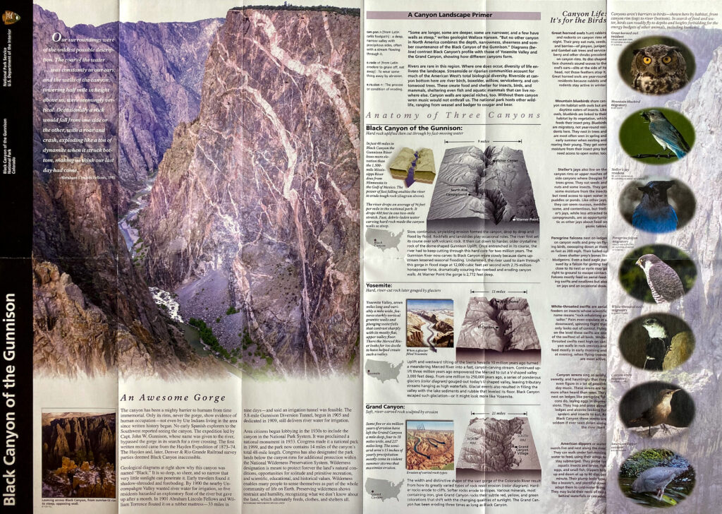 An open Black Canyon interpretive spread combines canyon photographs, geology diagrams, explanatory text, and a column of wildlife images.