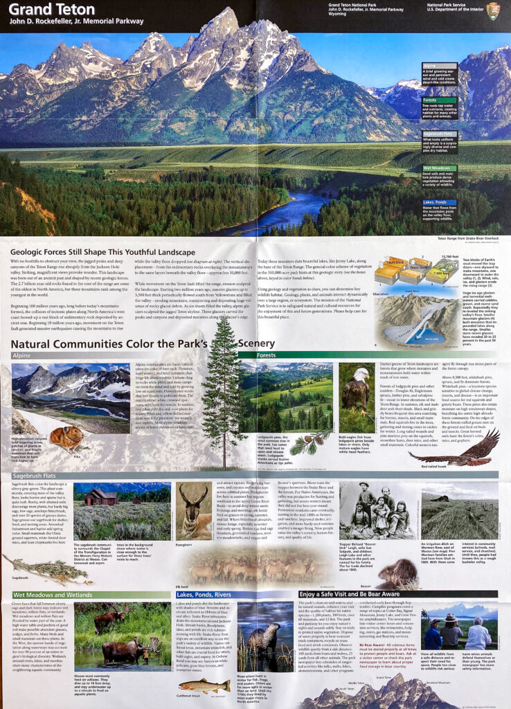 An open Grand Teton brochure combines a mountain panorama, interpretive text, habitat photographs, diagrams, and wildlife illustrations.