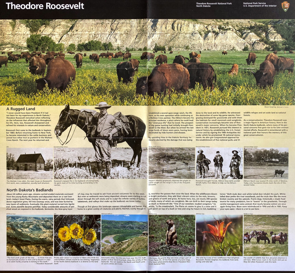 An open park brochure shows a historical text, a large bison photograph, and smaller landscape and wildlife images.