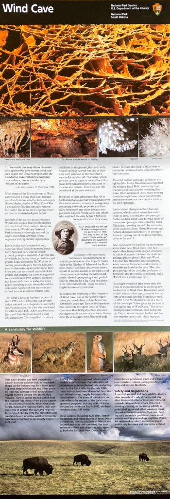 An open Wind Cave brochure shows visitor text, wildlife photographs, and a historical portrait.