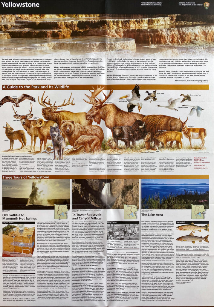 A Yellowstone guide page combines illustrated mammals and birds with explanatory text, photographs, and small maps.