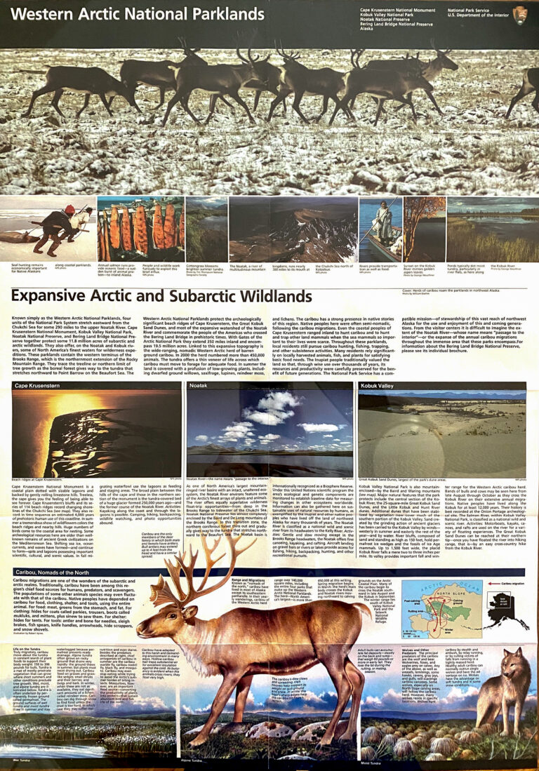 A Western Arctic National Parks exhibit panel combines text, photographs, a map, and a large caribou illustration.