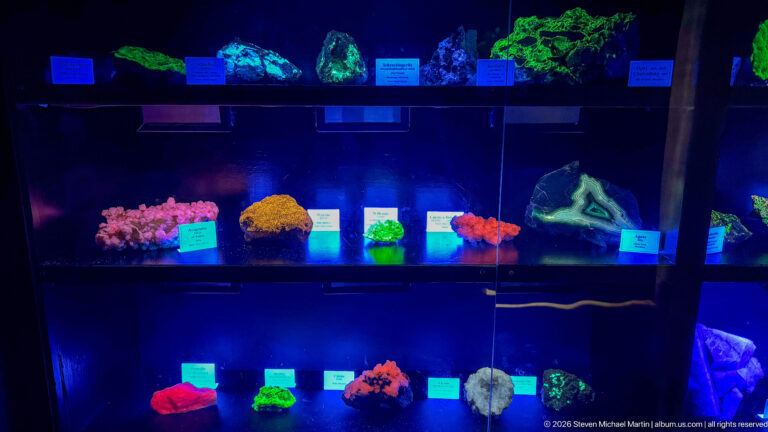 Dark display case with mineral specimens fluorescing bright green, pink, orange, and blue under ultraviolet light.